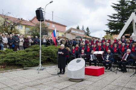Doprsni kip Borisa Raceta – Žarka na Kozini 7